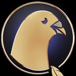 Profile Picture of Andy Quirke Pigeons (@andy_quirke_pigeons) on Instagram