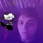 Profile Picture of Andrew T.J. Walquist (@imadaintyflower) on Instagram
