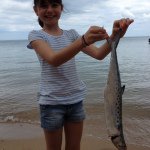 Profile Picture of Paul Trayner (@paul_trayner) on Instagram