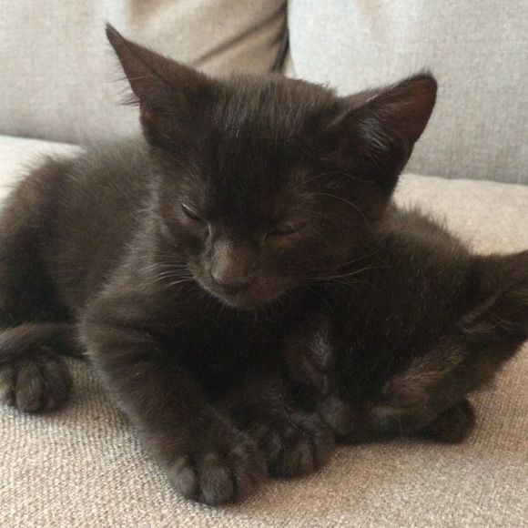 Profile Picture of Maggie Lofgren (@mstollberg91) on Poshmark