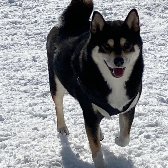 Profile Picture of Peter Fiedoruk (@peterfiedoruk) on Poshmark