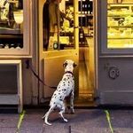 Profile Picture of 📷 Paul Robertson 📷 (@paulrobertsonphotonz) on Instagram