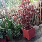 Profile Picture of Bongga Datu (@bongga.datu.139654) on Facebook