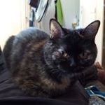 cleo_kitti - Instagram Profile Picture of cleo_kitti (@cleo_kitti) on Instagram