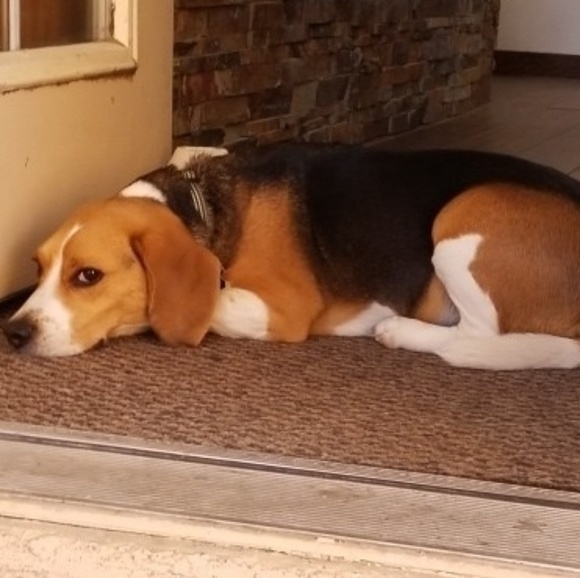 Profile Picture of Marilyn Millam (@mmillam821) on Poshmark