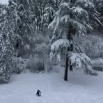 Profile Picture of Janet Rosencrans Sundberg (@janet.sundberg.5) on Facebook