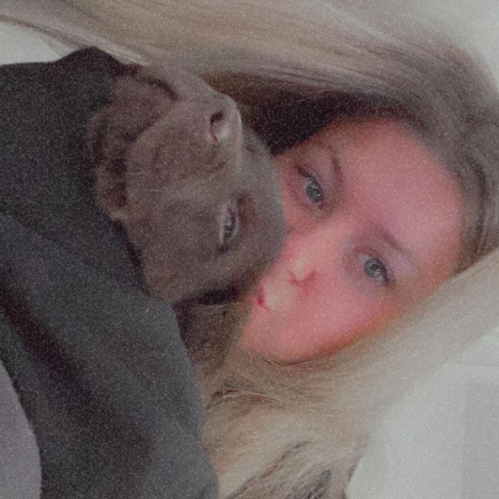 Profile Picture of Tayler D Harnish (@taylerdharnish) on Tiktok