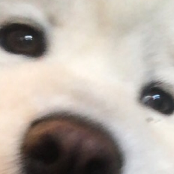 Profile Picture of Jillian Booth (@jillian_booth22) on Poshmark