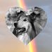 Profile Picture of Gerry Scherer (@gerry.scherer.794) on Facebook