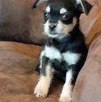 Profile Picture of Michele Harrison Threlkeld (@michele.harrison.7587) on Facebook