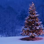 Profile Picture of Lisa Edgell (@lisa.shaika) on Facebook