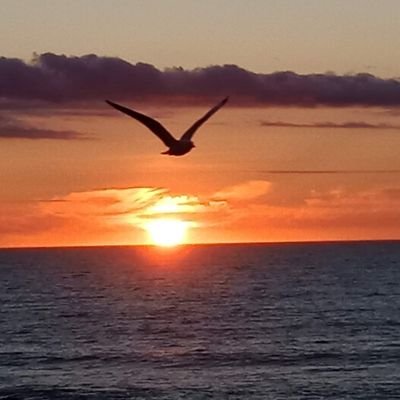 Profile Picture of Sandie Campbell (@SandieCampbel18) on Twitter