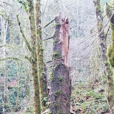 Profile Picture of Sean Burgett (@sean_burgett) on Twitter