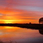 Profile Picture of BRYANNA (@bryannacrucer3) on Instagram