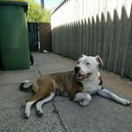 Profile Picture of Peta Lawrence (@peta.lawrence) on Instagram