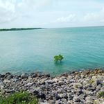 @vokez - Instagram Profile Picture of @vokez (@kevinodanga69) on Instagram