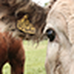 Profile Picture of John Donnelly (@john_donnelly) on Flickr