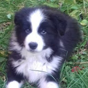 Profile Picture of Patrycja Garbala (@cuciuwu4907) on Youtube