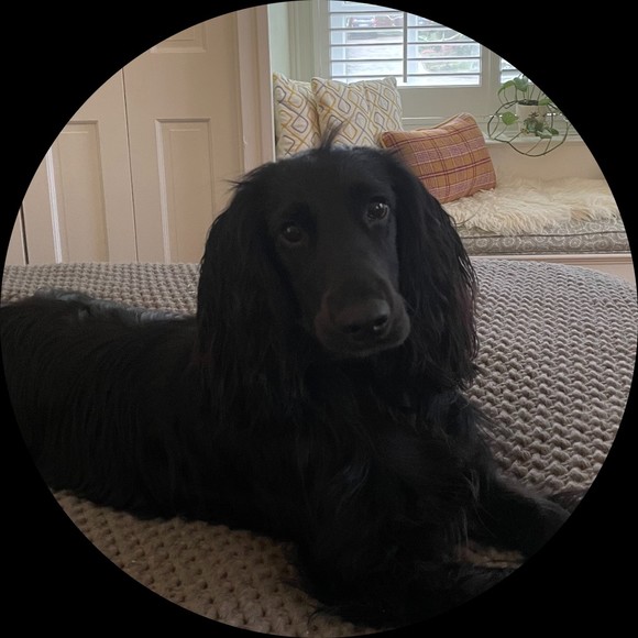 Profile Picture of Caroline Boyd (@caroboyd) on Poshmark