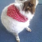 Profile Picture of Jeffrey Wilkening (@jeffrey.wilkening) on Facebook