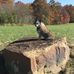Profile Picture of Brent Rutherford (@brent.rutherford.376) on Facebook