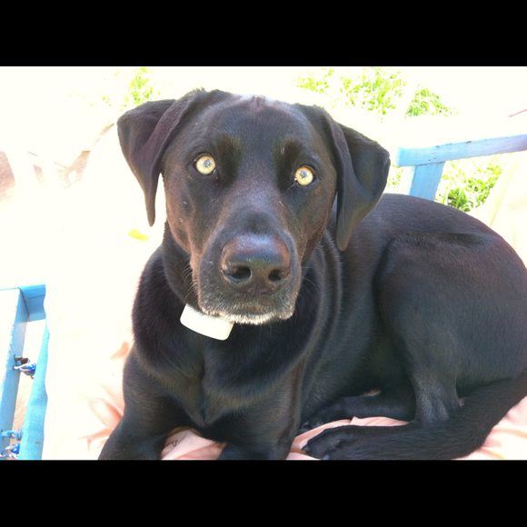 Profile Picture of Claudia Mazzotta (@cmazzotta) on Poshmark