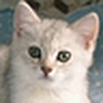 Profile Picture of Mariela Ramirez (@marielaramirezsv) on Flickr