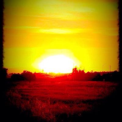 Profile Picture of Anthony Holliday (@bosshammer1995) on Twitter