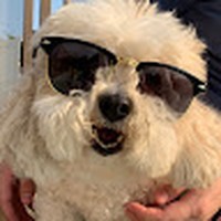 Profile Picture of Cassandra Roman (@cassandra-roman-12) on Quora