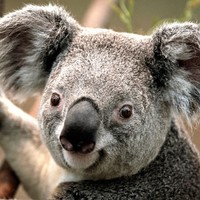 Profile Picture of James Rowsey (@james-rowsey) on Quora