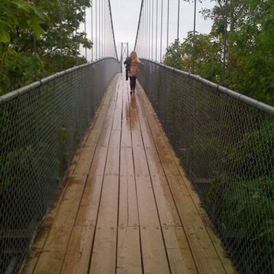 Gina Kish - Twitter Profile Picture of Gina Kish (@funwithllamas) on Twitter