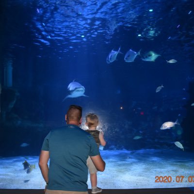 Profile Picture of Jeff Lowell (@jlowell22) on Twitter