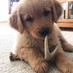 Profile Picture of Stephen Warden (@stephenwarden12) on Instagram