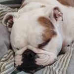 Profile Picture of Cathy Burdette Ellis (@gungal380) on Instagram