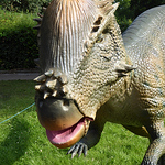 Profile Picture of Mike Berry (@triassicmike) on Flickr