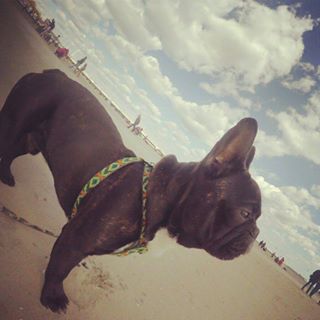 Profile Picture of Leon Bułkowski (@leonbulkowski) on Facebook