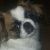 Profile Picture of Joyce Crawford (@joycecrawford73) on Pinterest