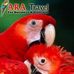 Profile Picture of Elto En Aratravel (@Elto-En-Ara-travel) on Facebook