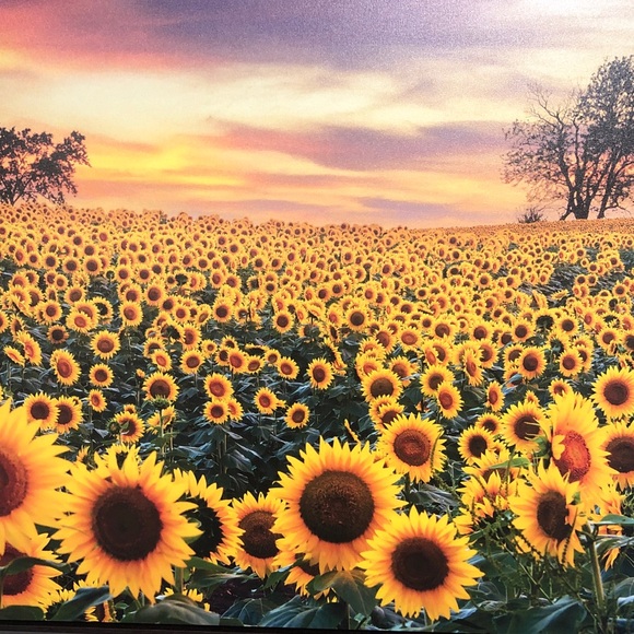 Profile Picture of Kim Mcconaha (@kim123456789391) on Poshmark