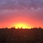 Profile Picture of Brian Franzia (@franzia_ag) on Instagram