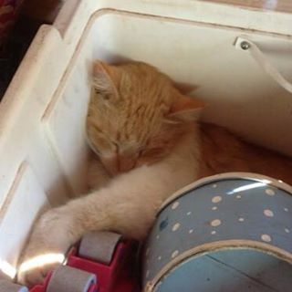 Profile Picture of Joanna Barwick (Jo) (@Joanna-Barwick) on Facebook