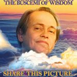 Scott Lucas - Instagram Profile Picture of Scott Lucas (@scott.lucas.10) on Instagram