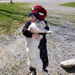 Profile Picture of Dustin Mckinley (@mckinley88) on Instagram