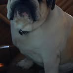 Profile Picture of Floyd McMahon (@floyd.mcmahon.14) on Facebook