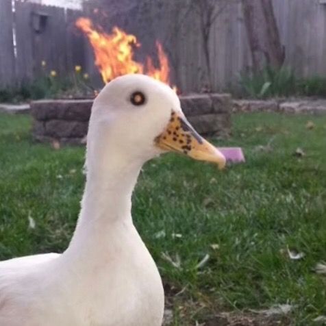 Profile Picture of James Dust (@jomsboi13) on Tiktok