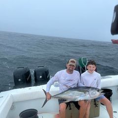 Profile Picture of Timothy Holmes (@timothy.holmes0) on Tiktok