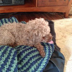 Steve Frasier - Twitter Profile Picture of Steve Frasier (@frasboat) on Twitter