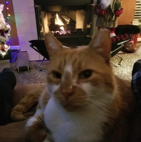 Profile Picture of Brian Hosinski (@brianhosinski) on Poshmark