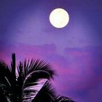 Profile Picture of Kevin Arakaki (@kevinarakaki5) on Instagram