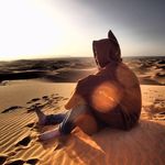 Profile Picture of Peter Voyvodic (@petervoyvodic) on Instagram